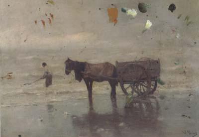 Anton mauve Gathering Seaweed (san42)